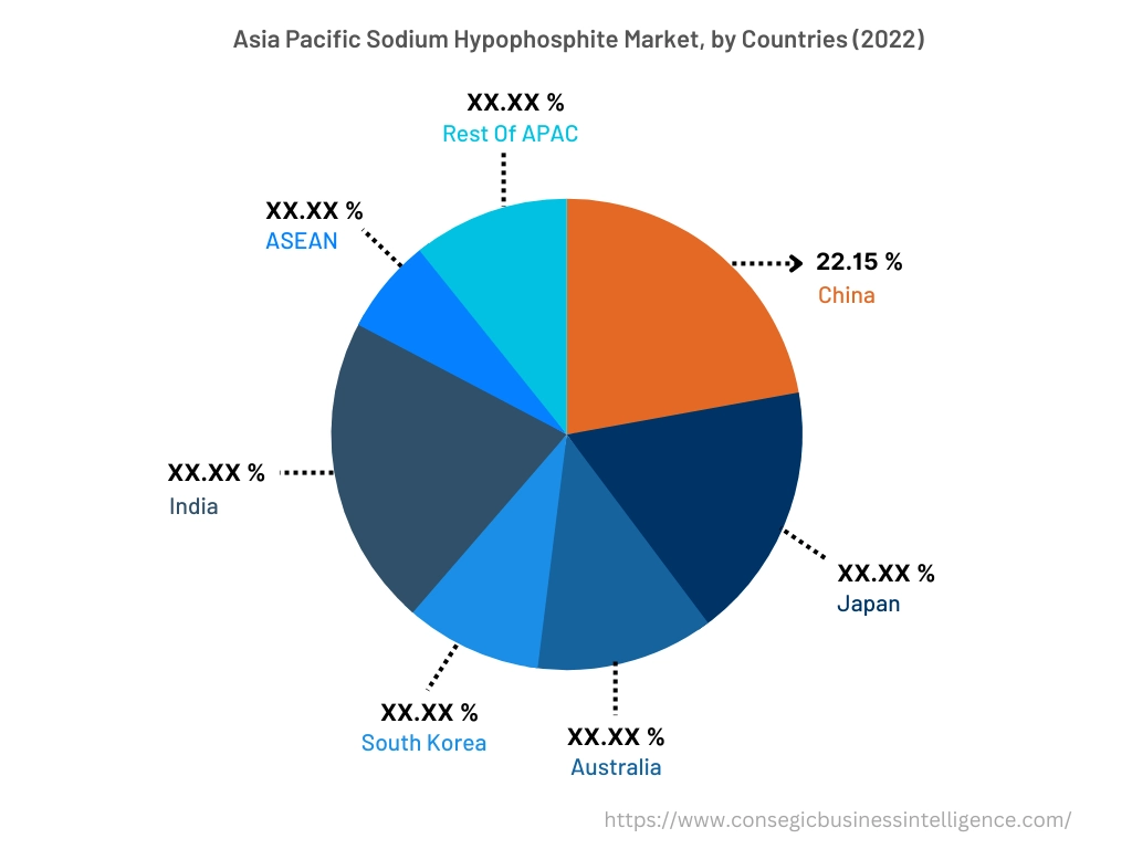 North America Sodium Hypophosphite Market, By Countries (2022)