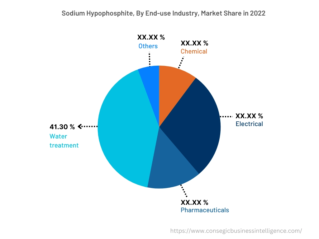 Global Sodium Hypophosphite Market , By End-Use-Industry, 2022