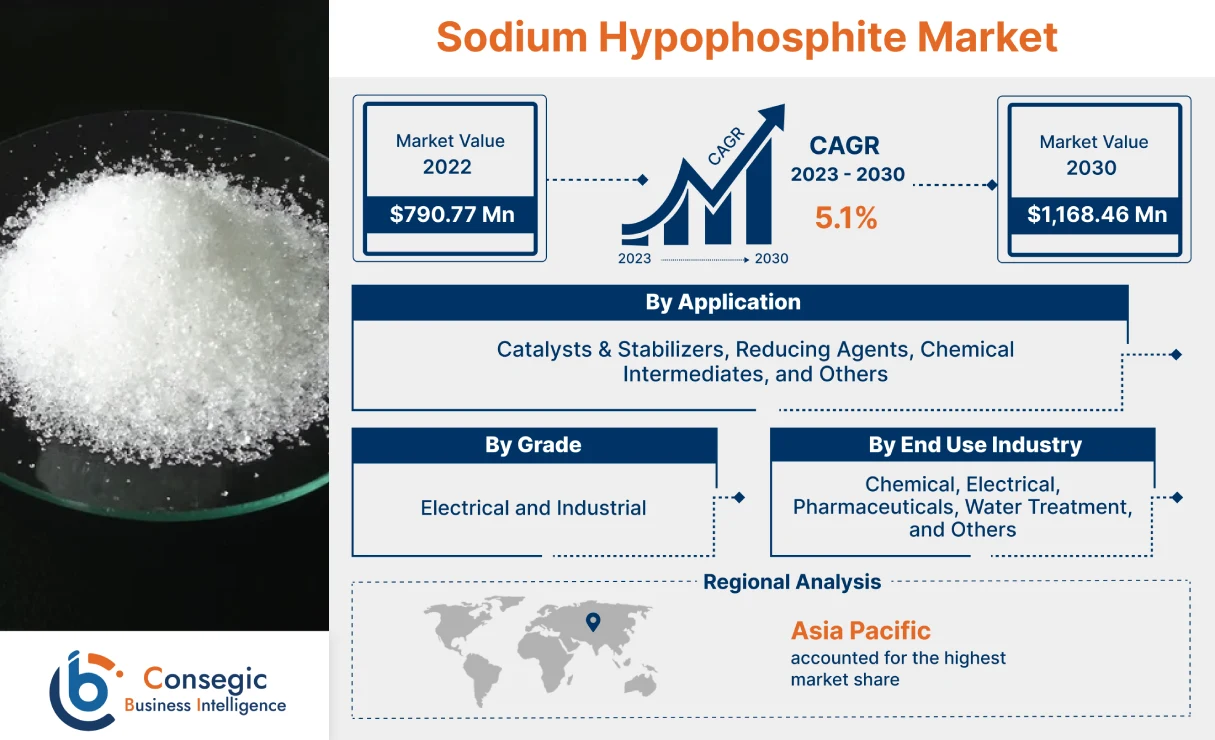 Sodium Hypophosphite Market Sodium Hypophosphite Market