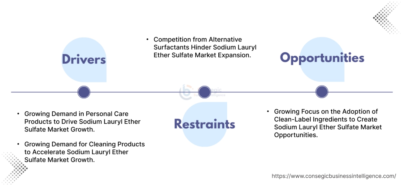 Sodium 라우릴 Ether Sulfate Market Dynamics Sodium 라우릴 Ether Sulfate Market Dynamics