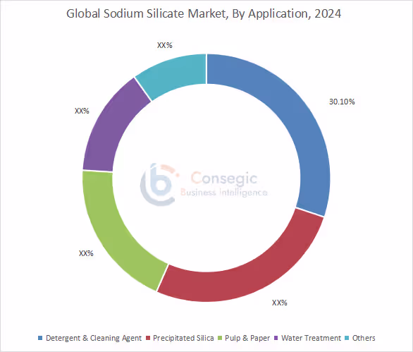 Sodium Silicate Market By Application