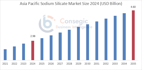 Sodium Silicate Market By Region