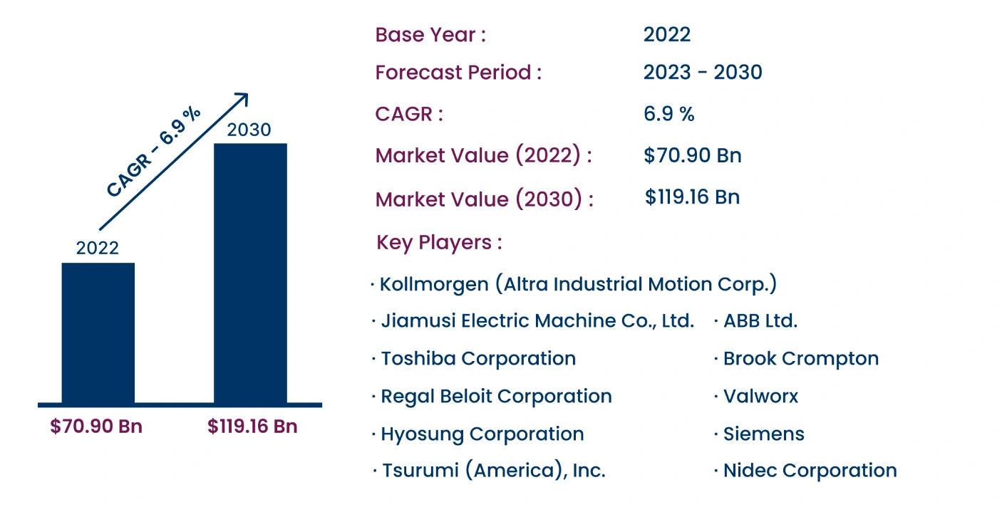 Global Special Motors Market