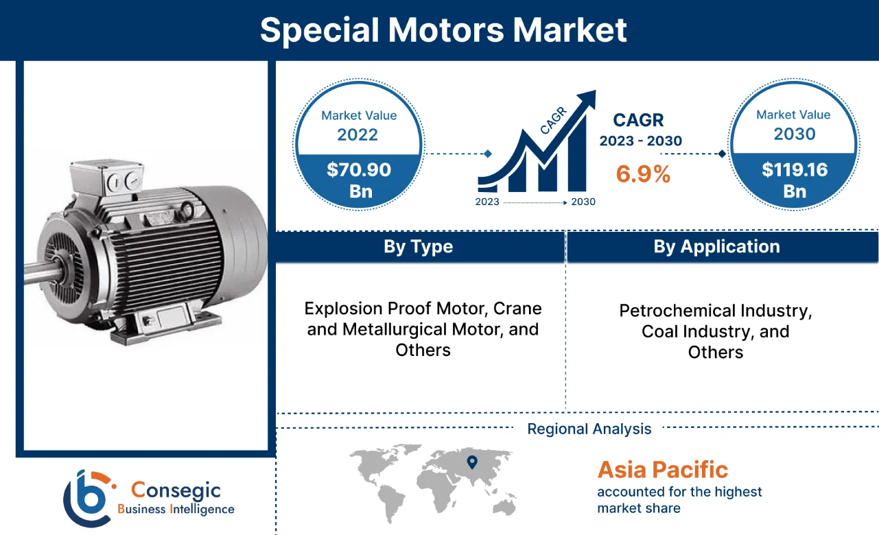 Special Motors Market 