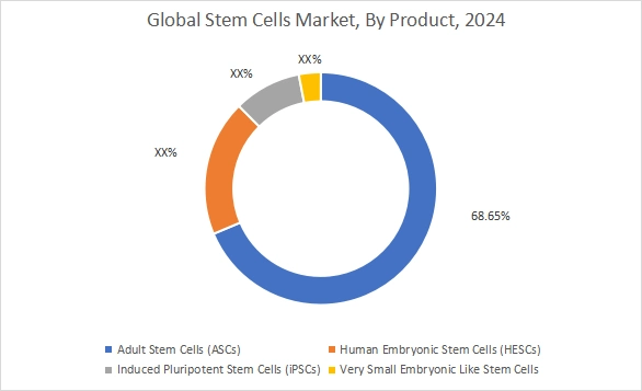 Stem Cells Market By Product