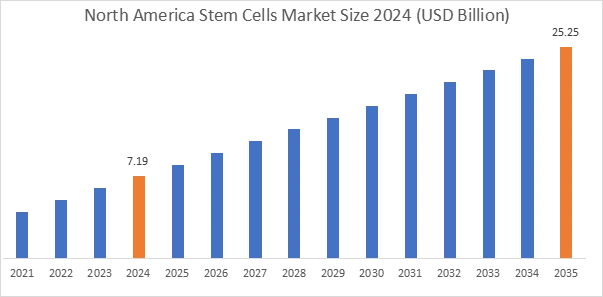 Stem Cells Market By Region