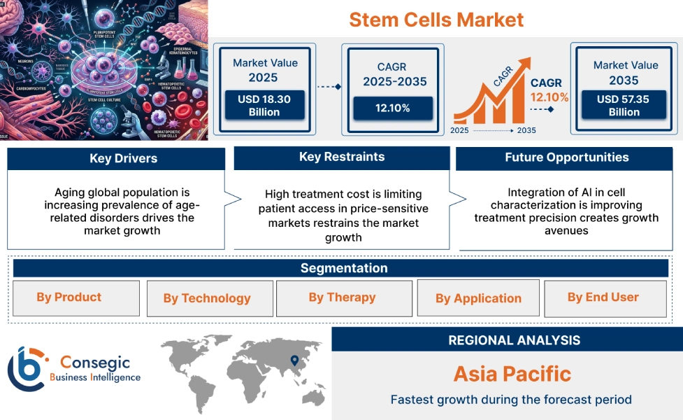 Stem Cells Market Insights