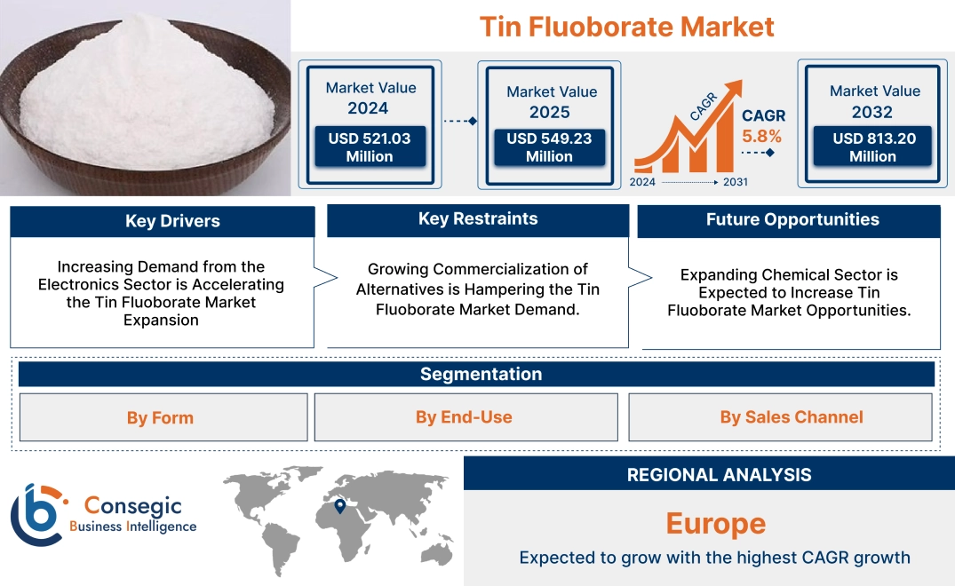 Tin Fluoborate Market Tin Fluoborate Market