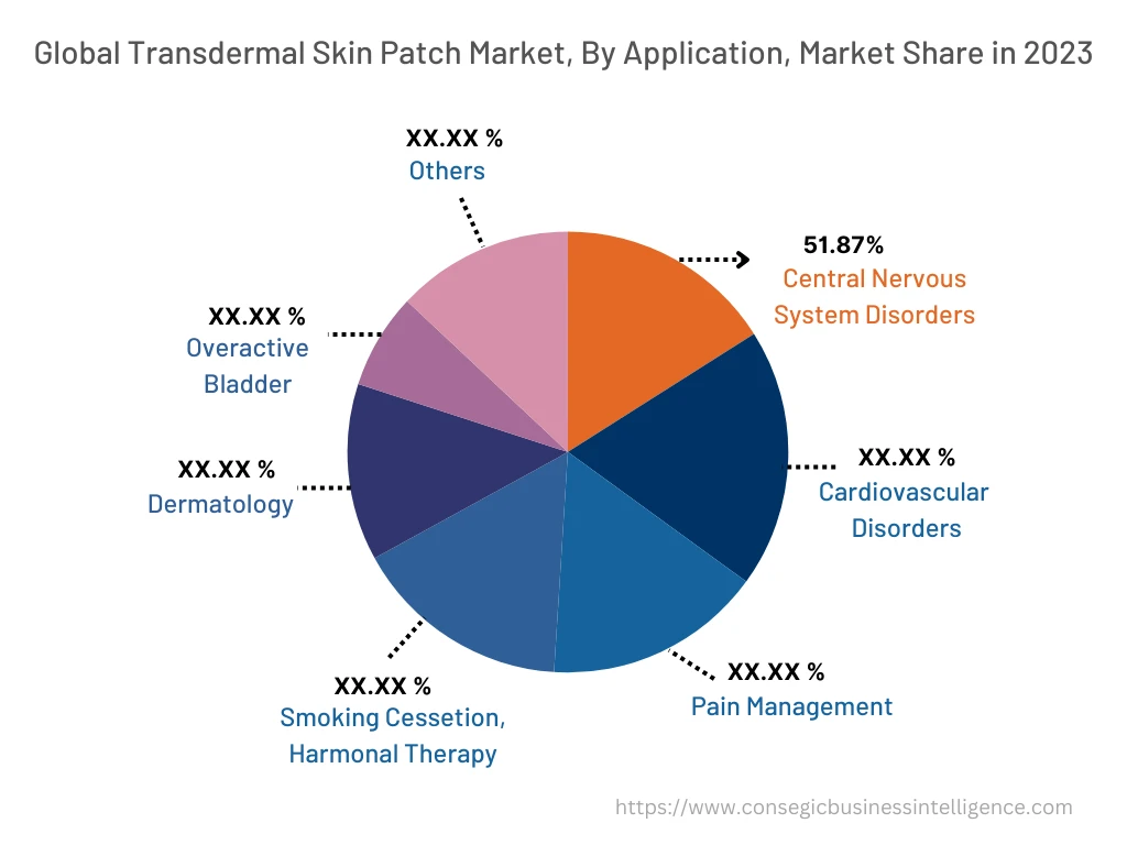 Transdermal Skin Patch Market By Application
