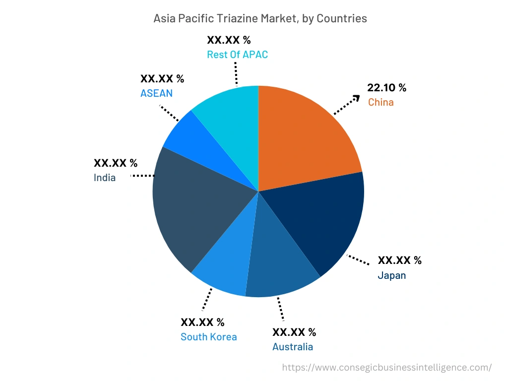 Triazine Market By Country