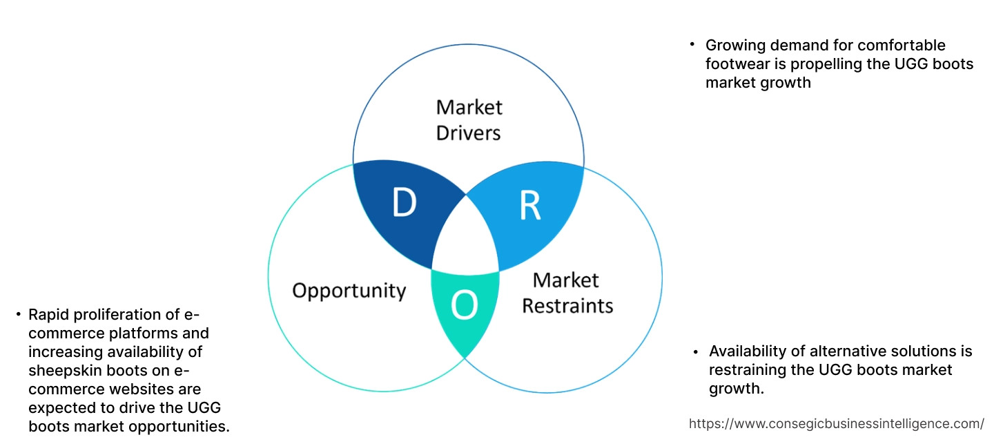 UGG Boots Market Dynamics UGG Boots Market Dynamics