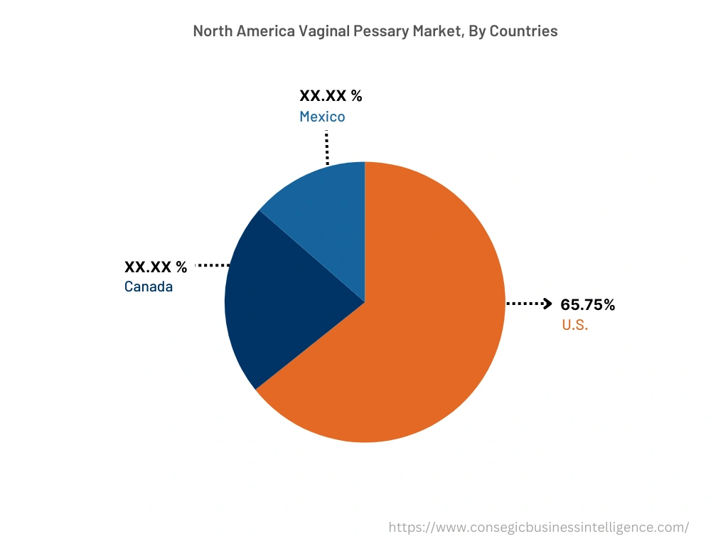 Vaginal Pessary Market By Country