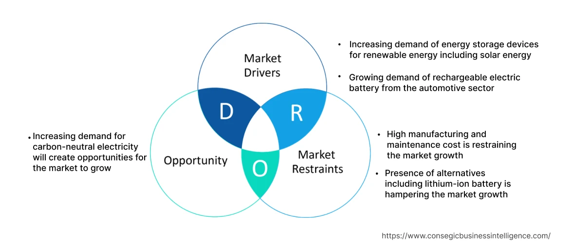 Vanadium Redox Flow Battery Market  Dynamics