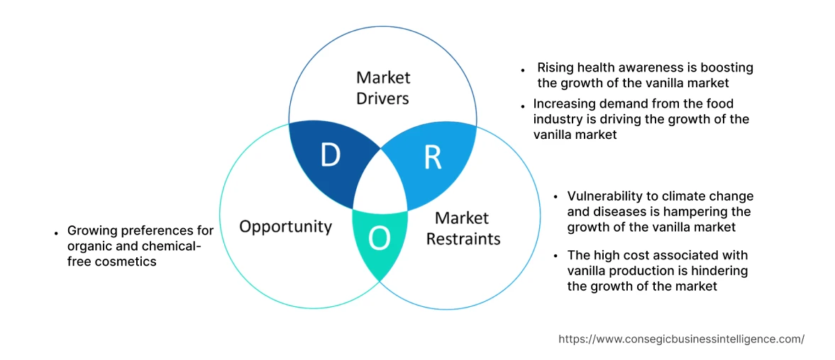 Vanilla Market Dynamics