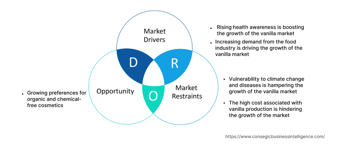 Vanilla Market  Dynamics