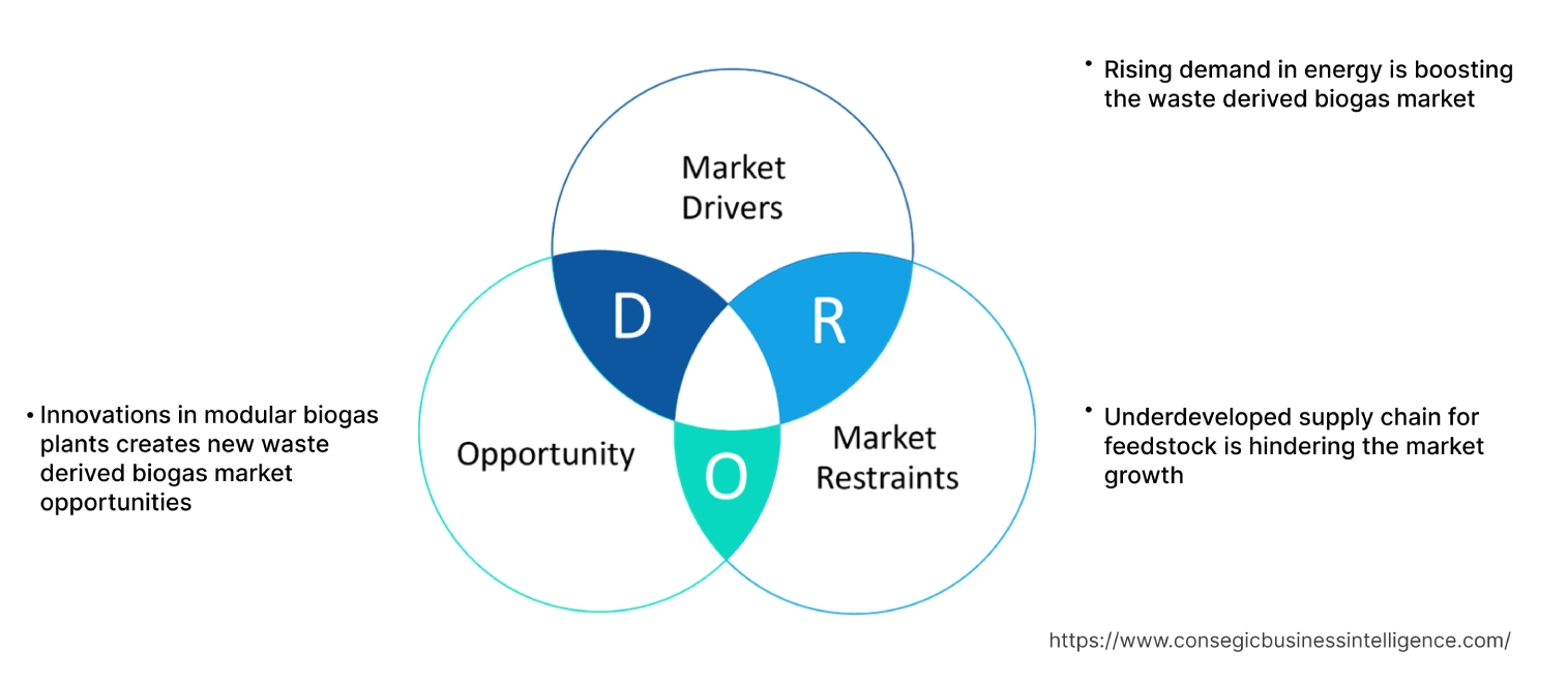Waste Derived Biogas Market Dynamics Waste Derived Biogas Market Dynamics