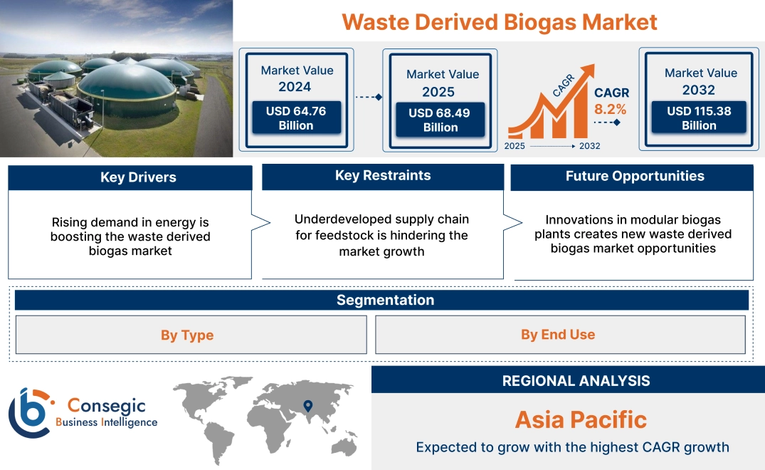Waste Derived Biogas Market Waste Derived Biogas Market