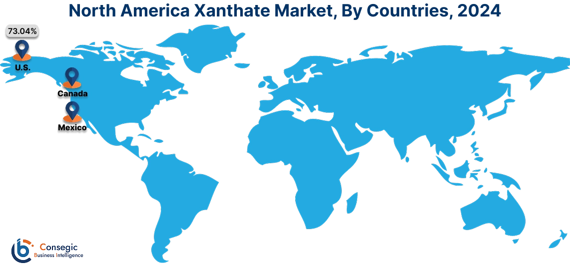 Xanthate Market By Country