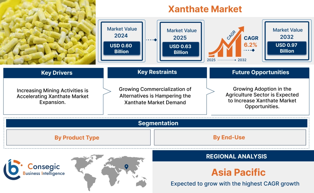 Xanthate Market