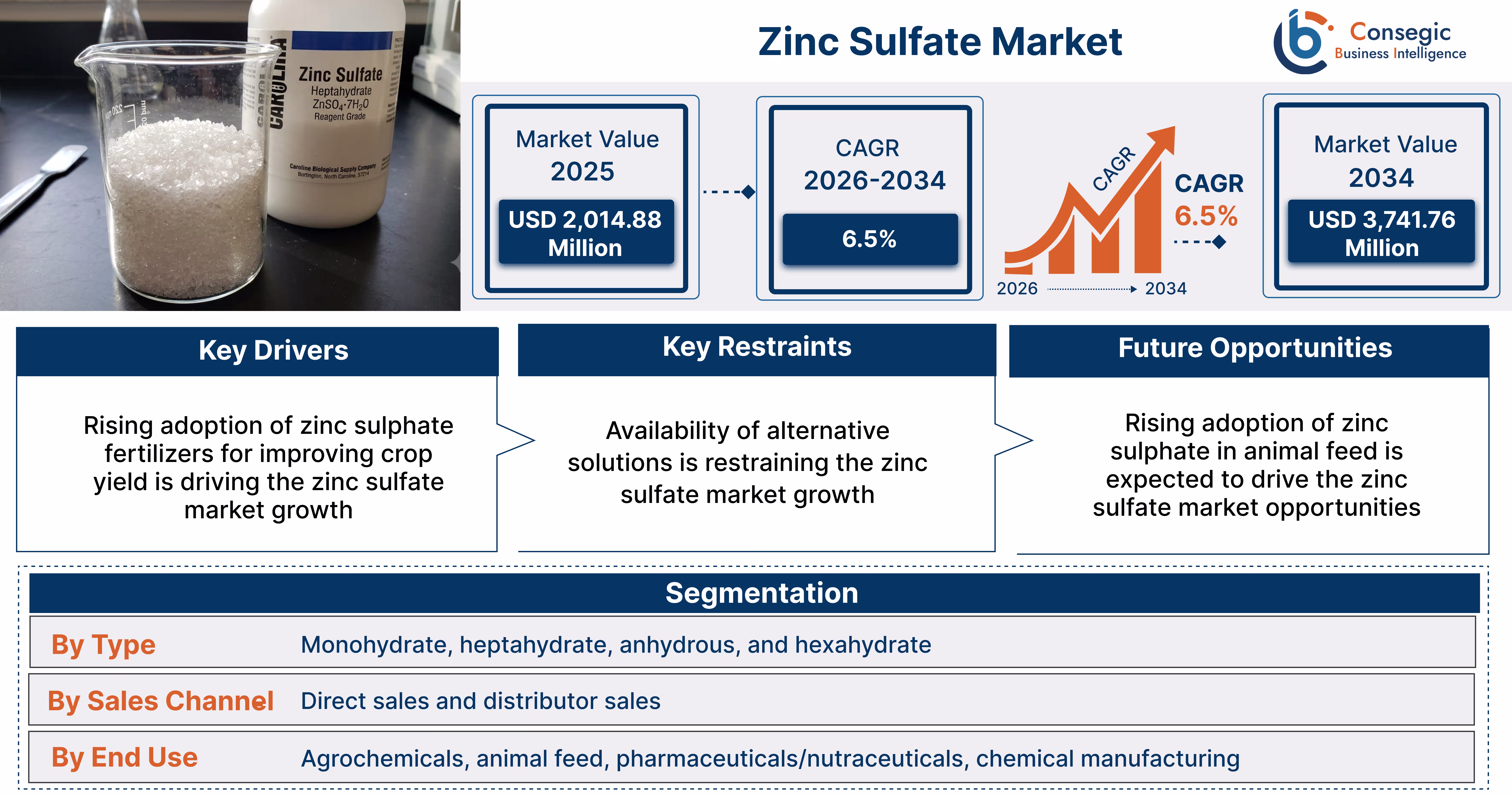 Zinc Sulfate Market Insights Zinc Sulfate Market Insights