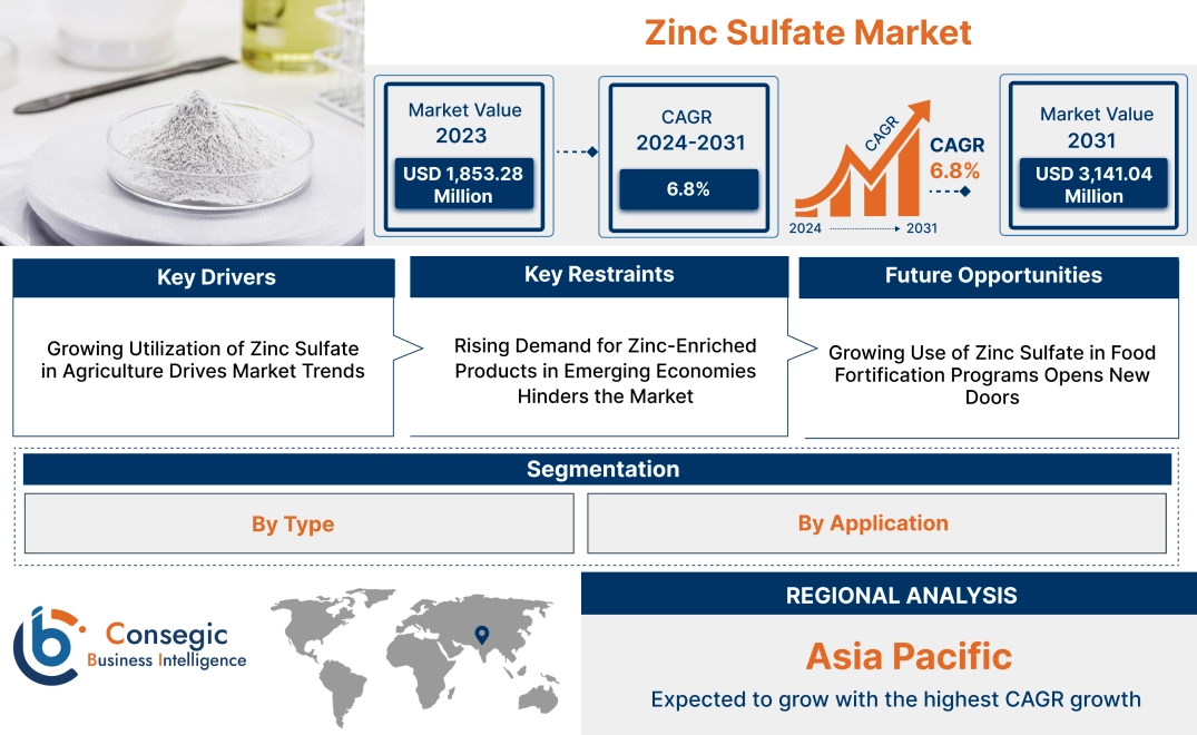 Zinc Sulfate Market Zinc Sulfate Market