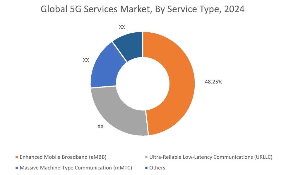 5G Services Market By End User