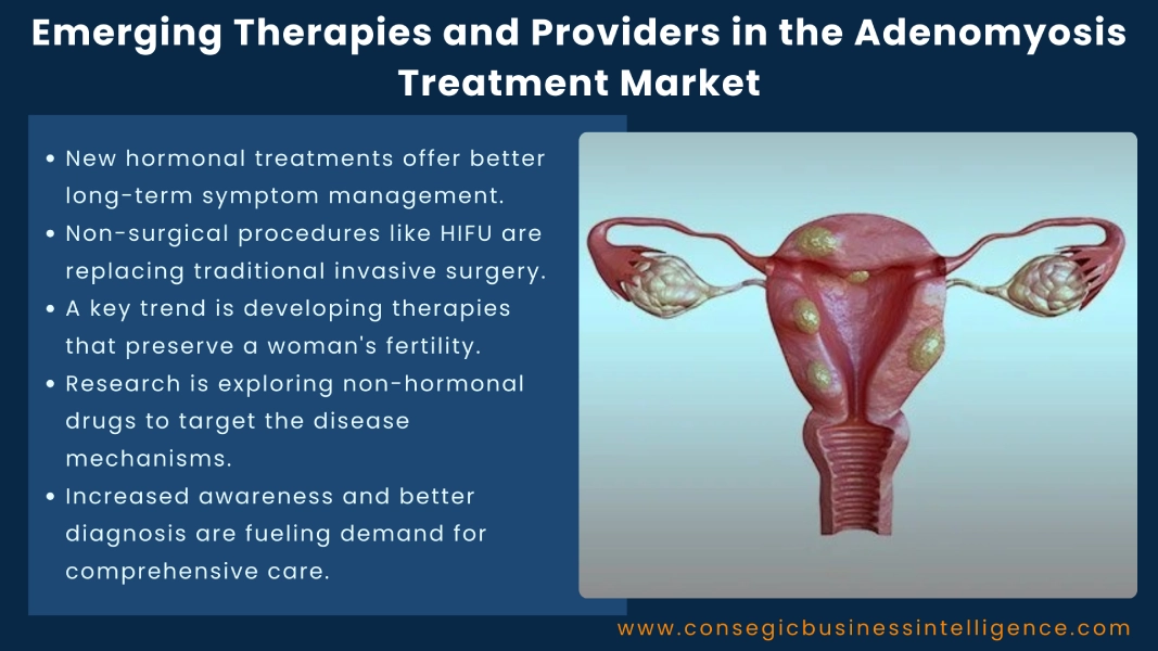 Emerging Therapies and Providers in the Adenomyosis Treatment Market Blog