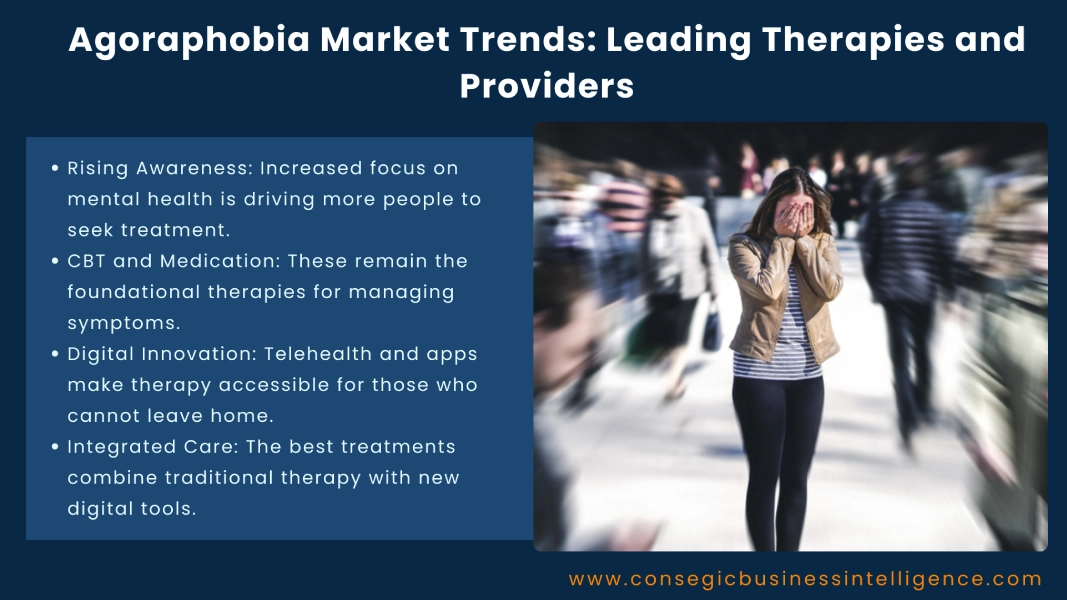 Agoraphobia Market Trends: Leading Therapies and Providers Blog