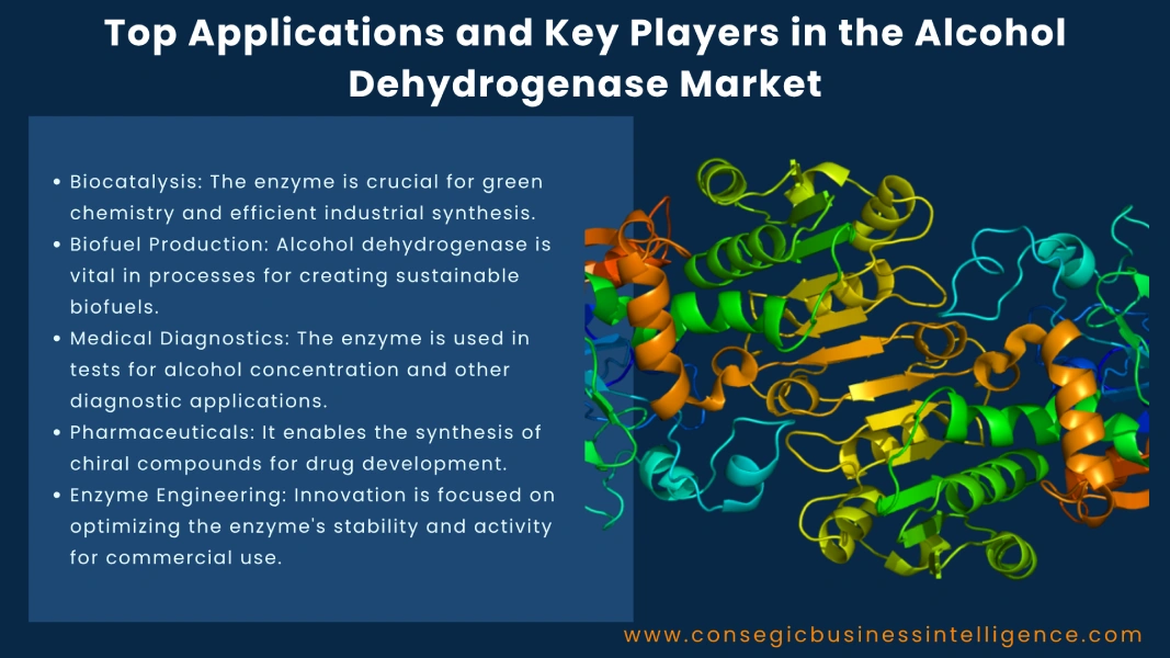 Top Applications and Key Players in the Alcohol Dehydrogenase Market Blog