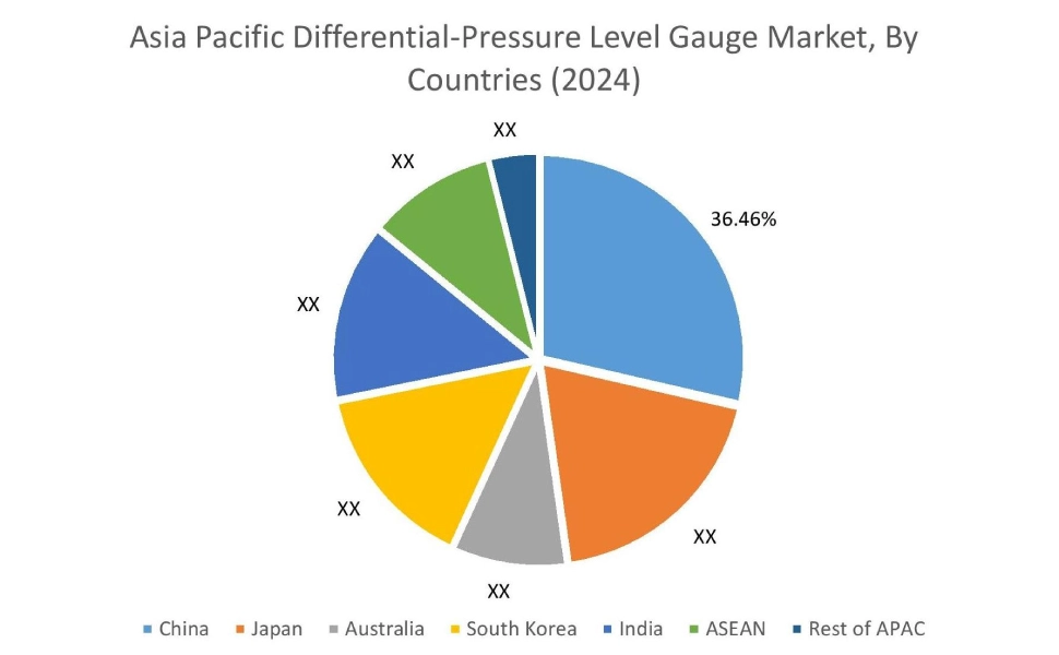 Differential-Pressure Level Gauge Market By Country
