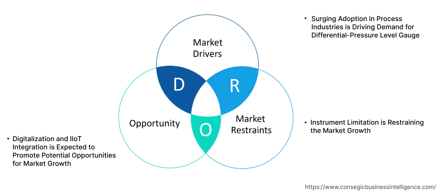 Differential-Pressure Level Gauge Market Dynamics