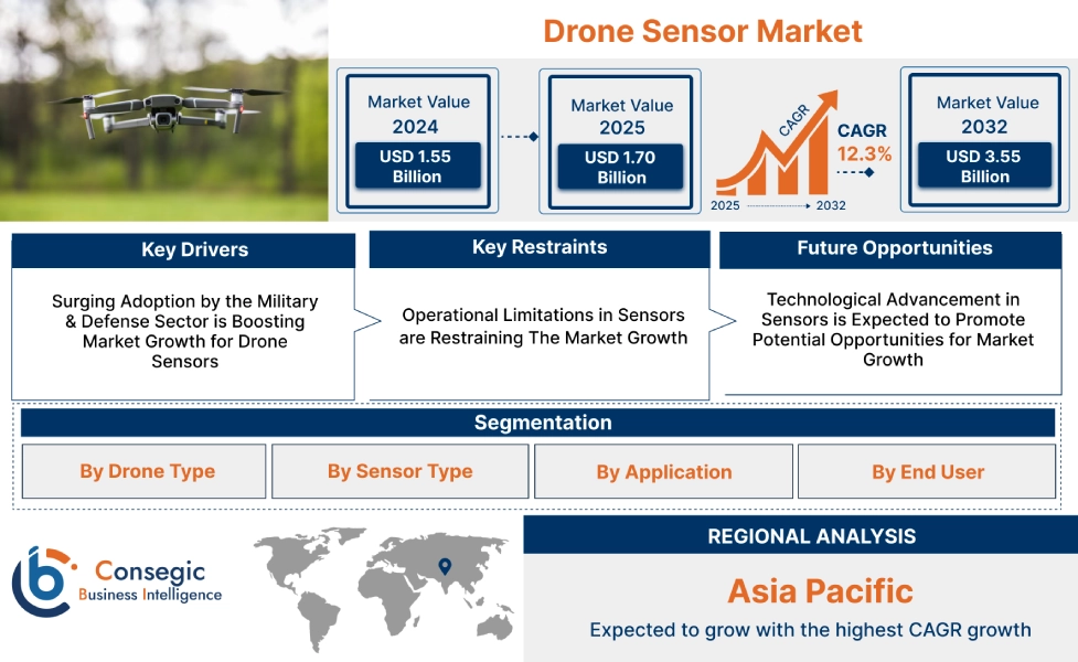 Drone Sensor Market 