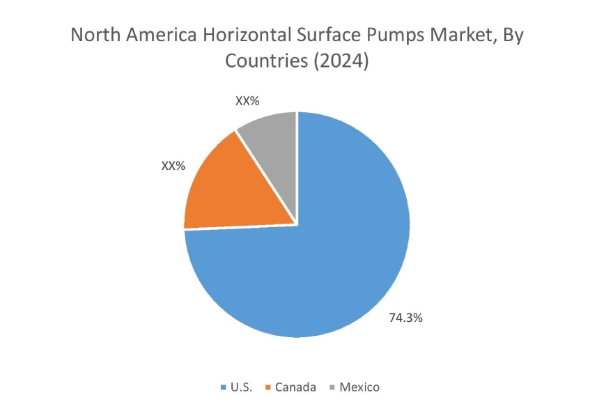 Horizontal Surface Pumps Market By Country