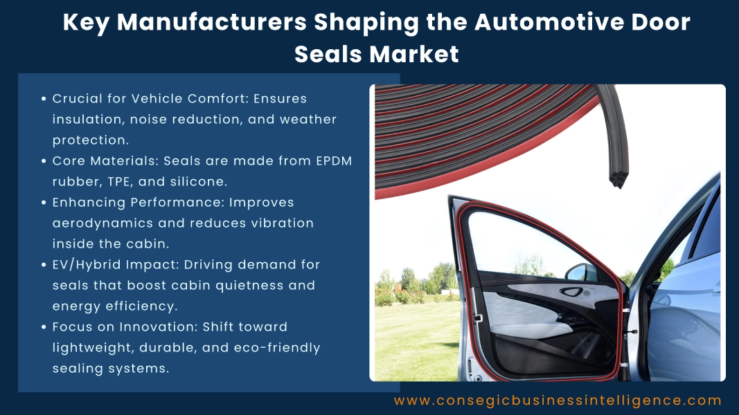Key Manufacturers Shaping the Automotive Door Seals Market Blog