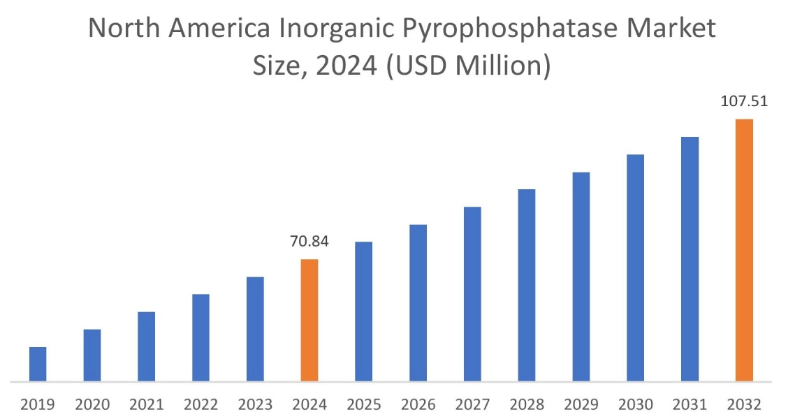 Inorganic Pyrophosphatase Market By Region Inorganic Pyrophosphatase Market By Region