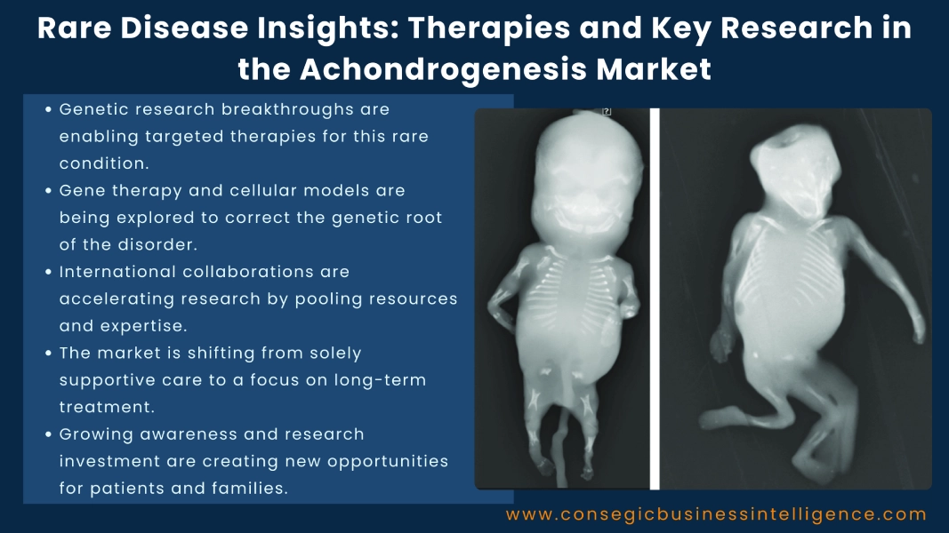 Rare Disease Insights: Therapies and Key Research in the Achondrogenesis Market Blog