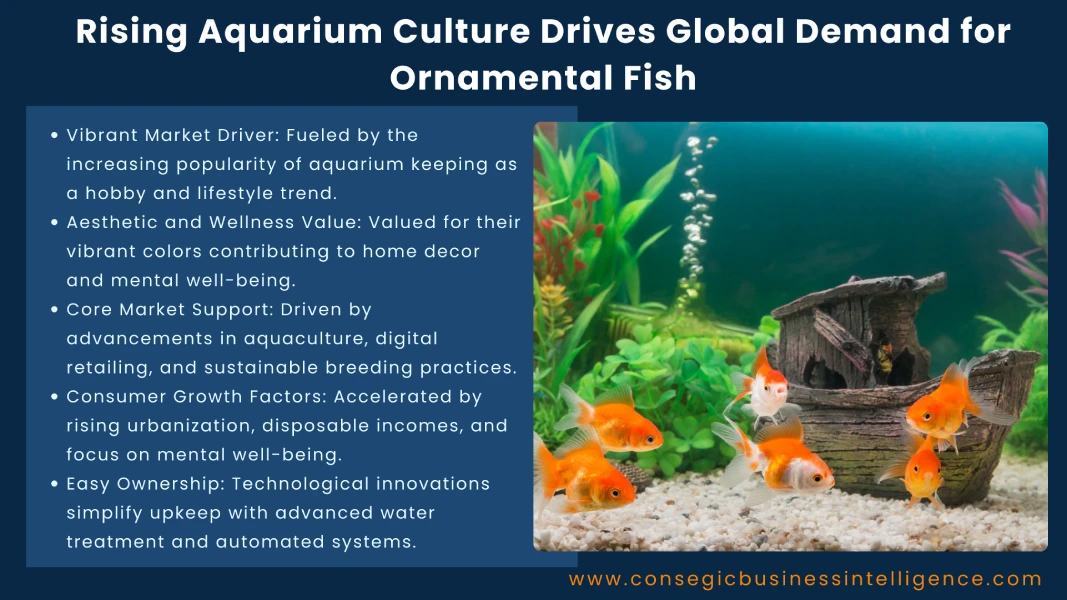 Rising Aquarium Culture Drives Global Demand for Ornamental Fish Blog