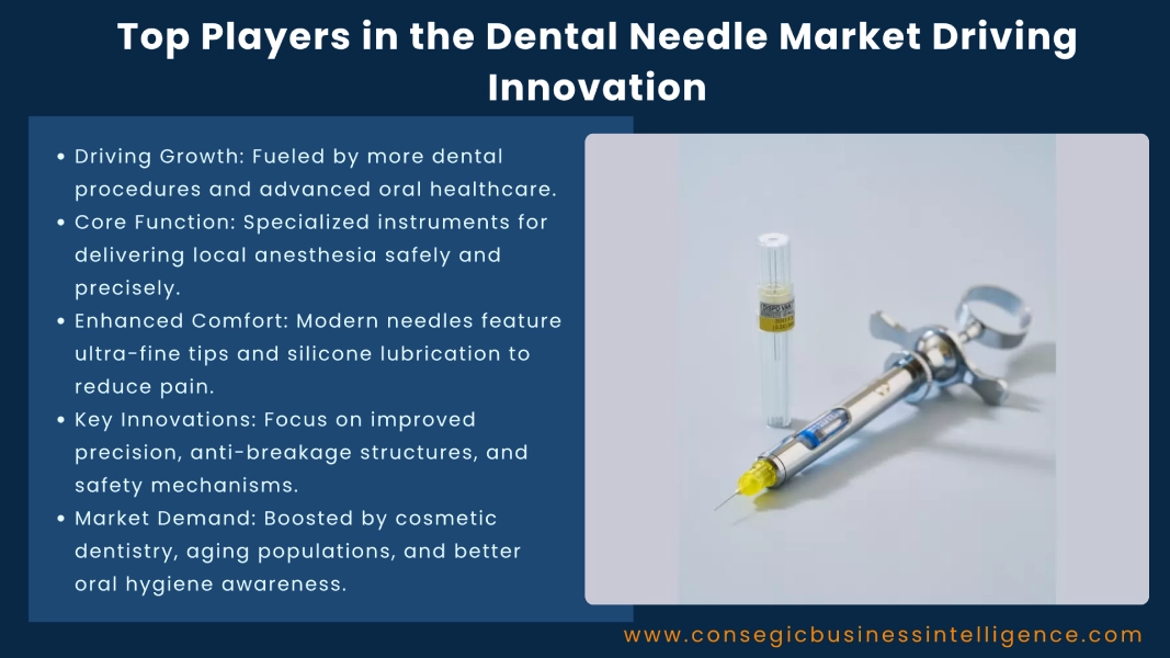 Top Players in the Dental Needle Market Driving Innovation Blog