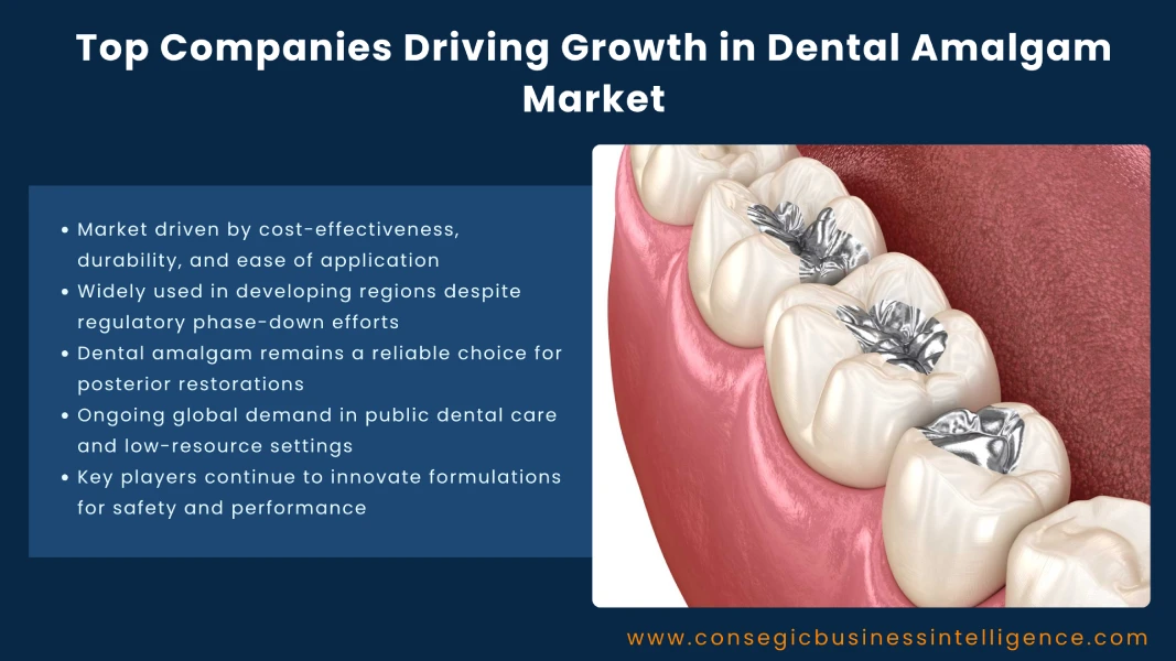Top Companies Driving Growth in Dental Amalgam Market Blog