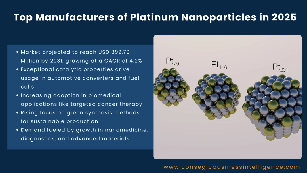 Top Manufacturers of Platinum Nanoparticles in 2025 Blog