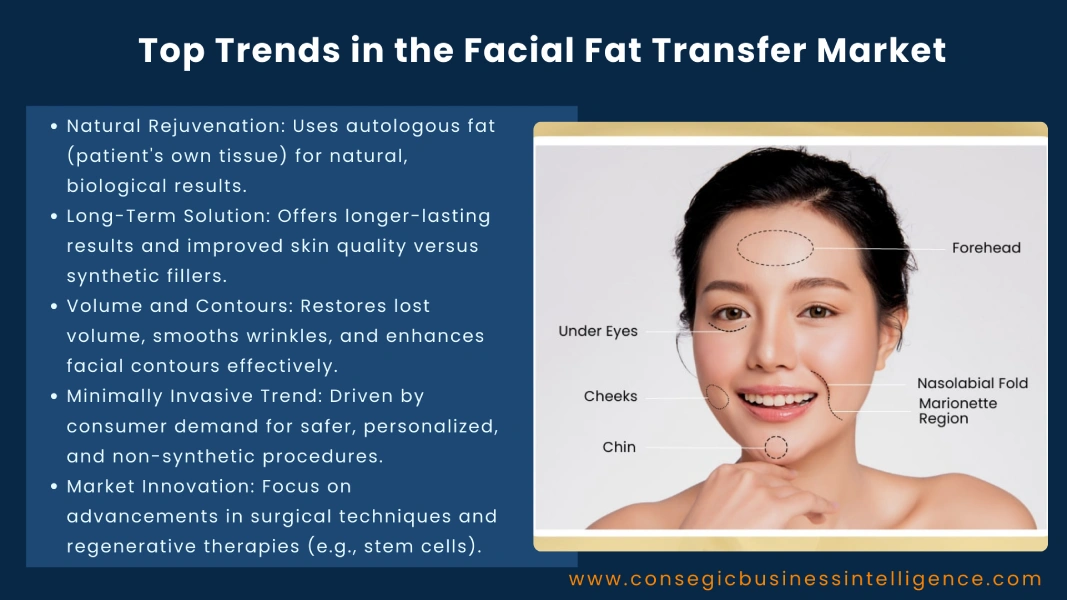 Top Trends in the Facial Fat Transfer Market Blog