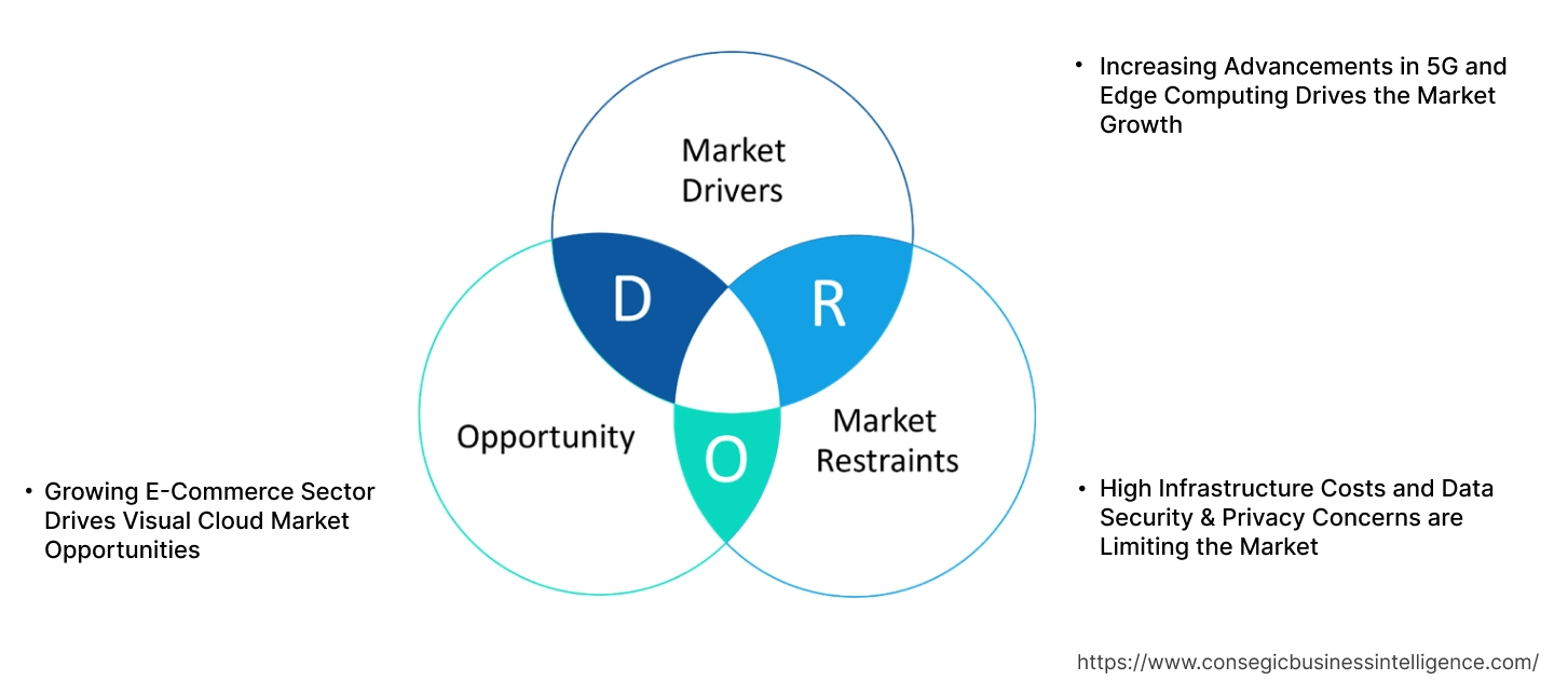 Visual Cloud Market Dynamics