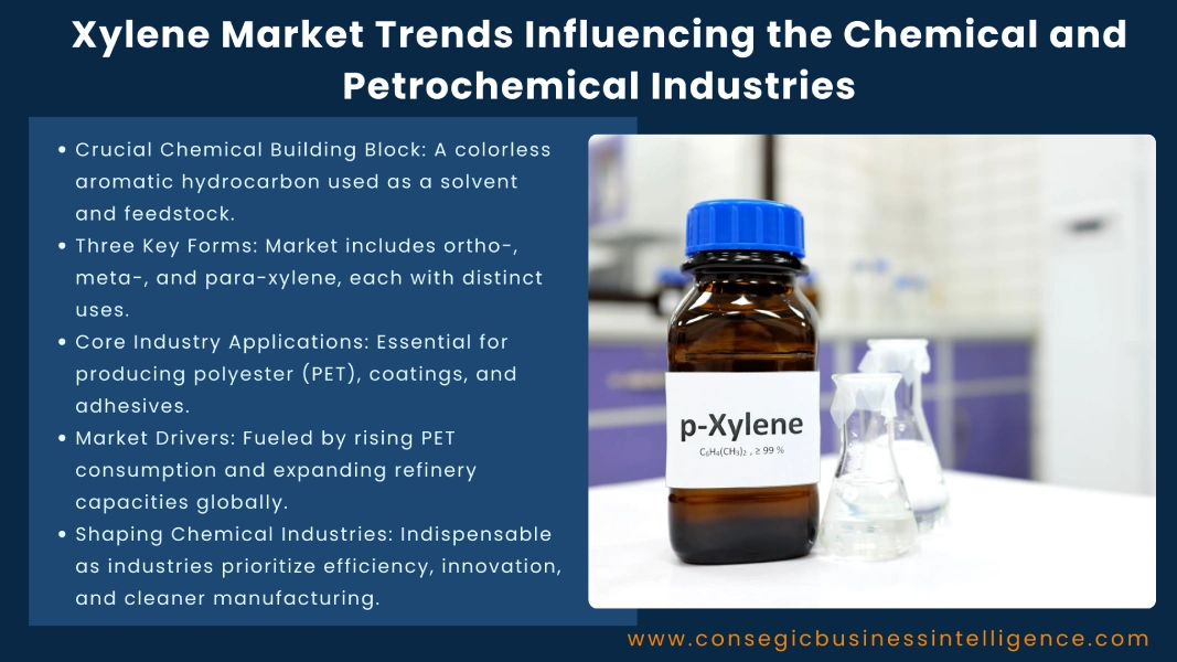 Xylene Market Trends Influencing the Chemical and Petrochemical Industries Blog