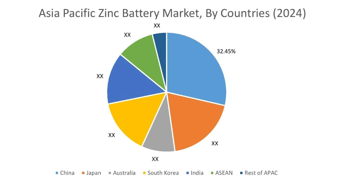 Zinc Battery Market By Country